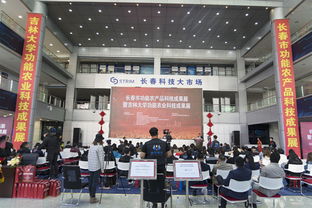 長春國投